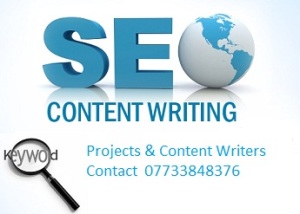 SEO Content  Writers